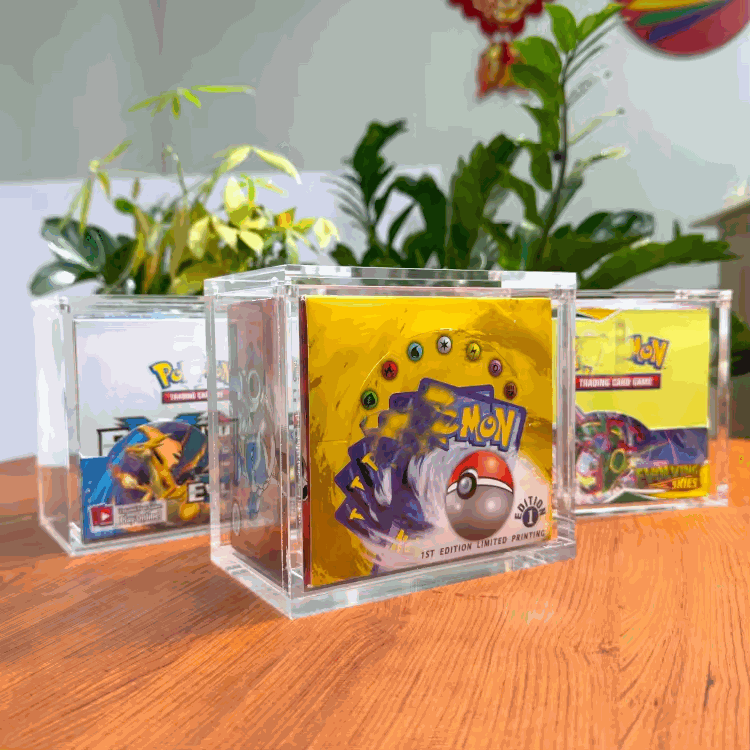 Pokemon-Custodia in acrilico Pokemon-AcrylicCase